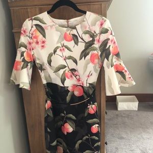 Ted baker women’s dress size 2